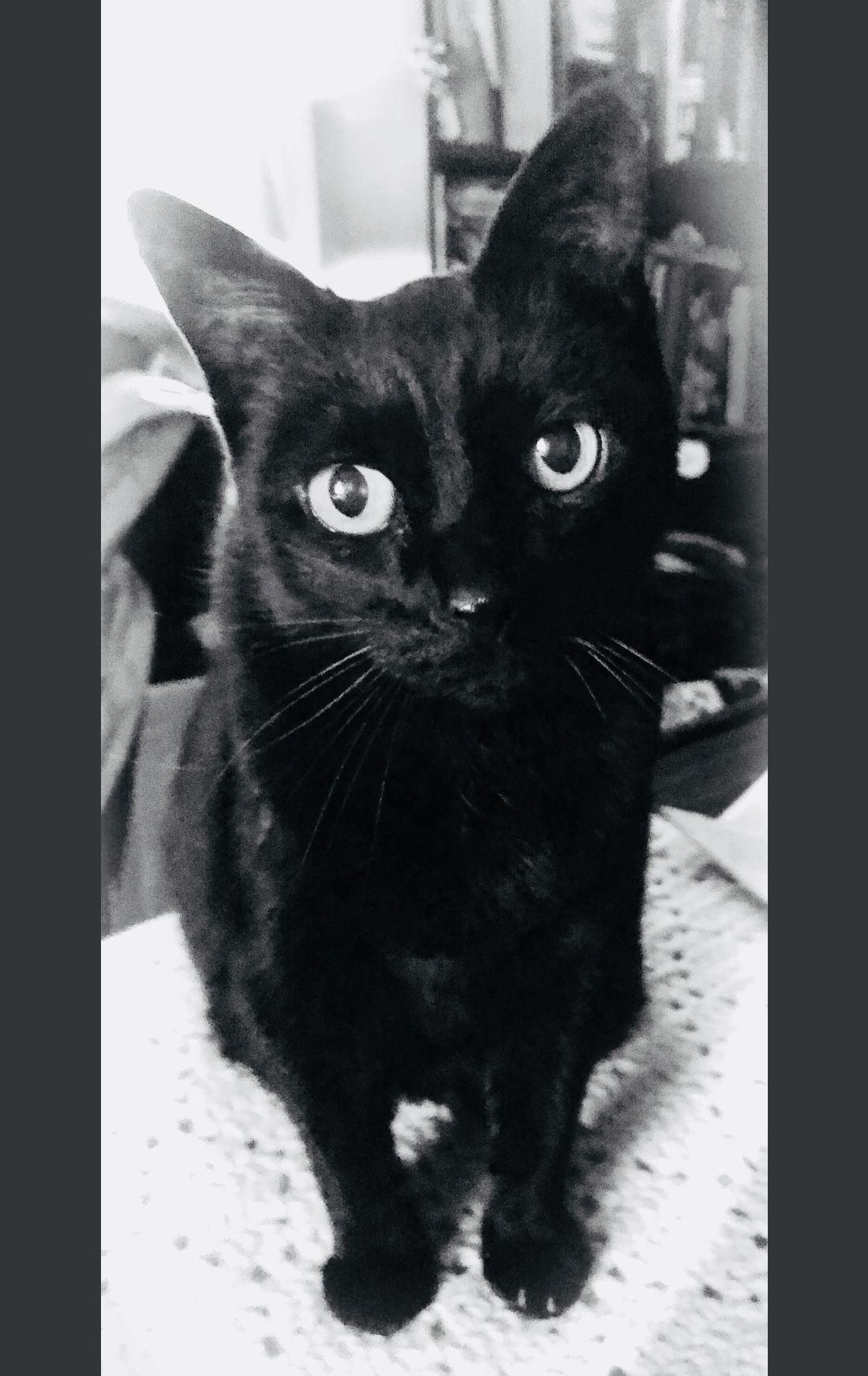 Prudence